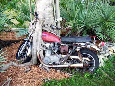 weirdtreeobjects7