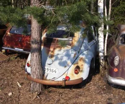 weirdtreeobjects9