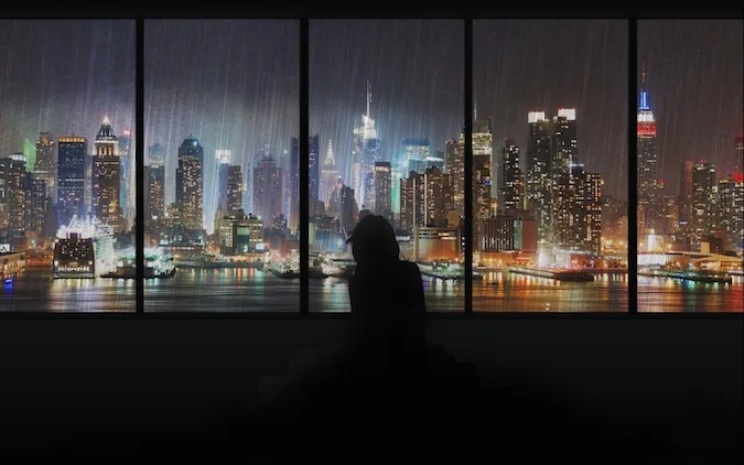 animals_widewallpaper_manhattan-in-the-rain-thru-a-window_64372