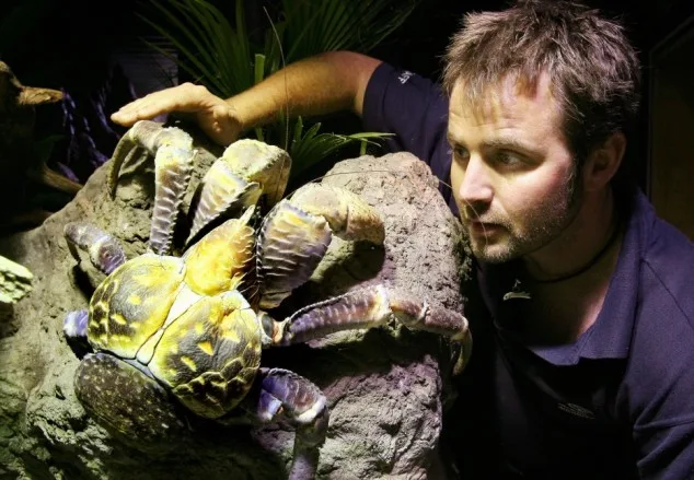 An employee of the Melbourne Aquarium ta