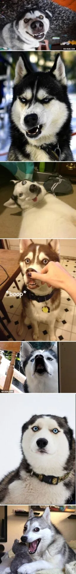 ap0jZoM_700b