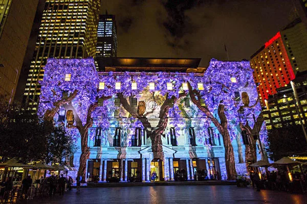 Προβολή φωτός Vivid Sydney σε κτίριο με δέντρα και κουκουβάγιες.