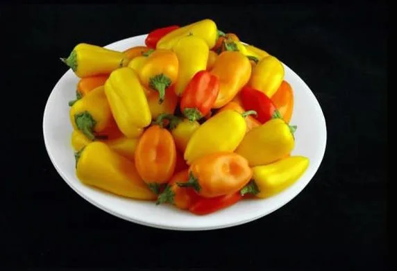 a1ezwz6_700b