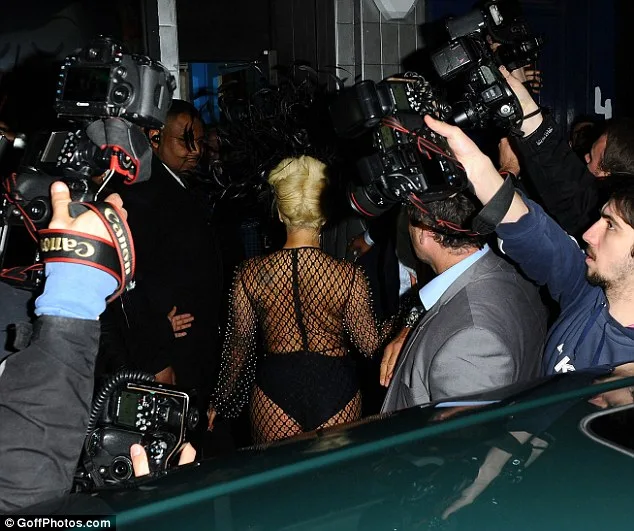 gaga-3