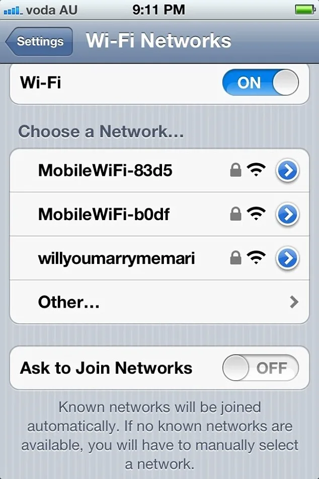 2a1eb19800000578-3145572-will_you_be_my_wifi_ey_-a-4_1435744210955