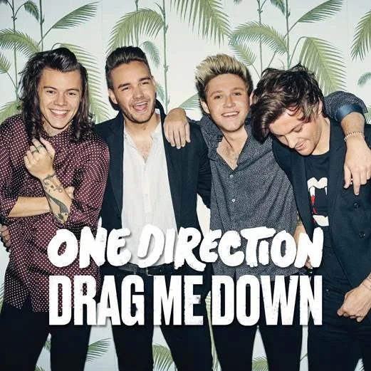 Το συγκρότημα One Direction ποζάρει μπροστά από ταπετσαρία με φοίνικες.