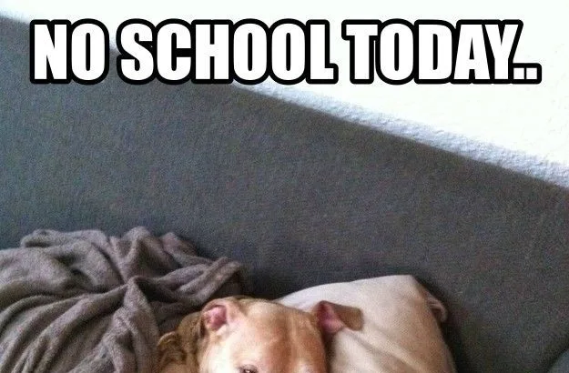 no-school-today