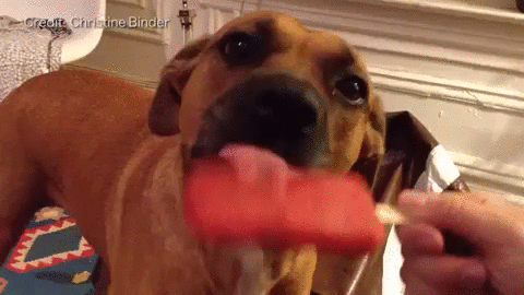 bbfgfd