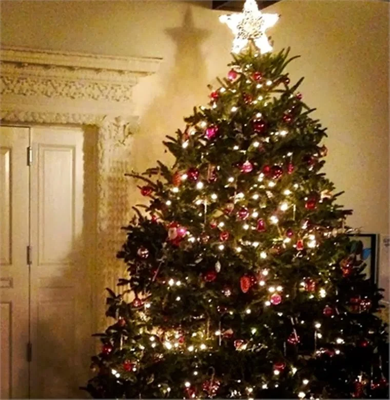 Room-Decor-Ideas-Room-Idea-Christmas-Decoration-Ideas-Christmas-Tree-Pictures-Celebrity-Christmas-Tree-Celebrities-Christmas-Trees-10-Miranda-Kerr