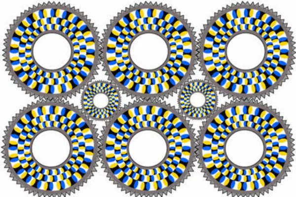 8ab3eaa3310f005b5f46cdc7d35fa4f5