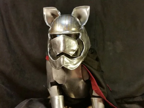 finally-a-cosplay-made-solely-for-cats-25-photos-19