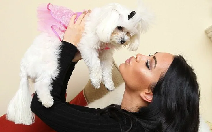 glamourdog3