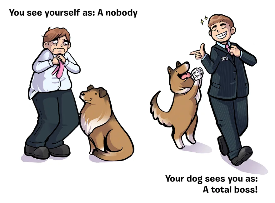 how-you-see-yourself-vs-how-your-dog-sees-you-13__880