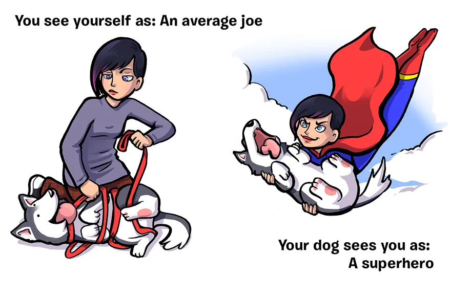 how-you-see-yourself-vs-how-your-dog-sees-you-15__880