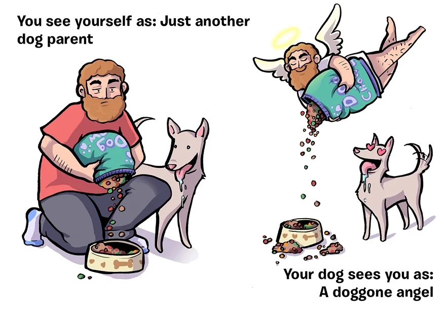 how-you-see-yourself-vs-how-your-dog-sees-you-21__880