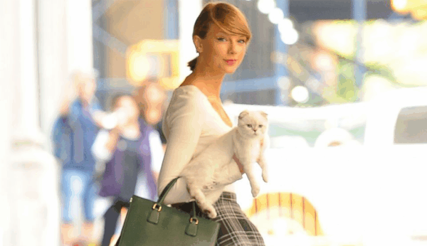 Οι γάτες της Taylor Swift έχουν γίνει σταρ!