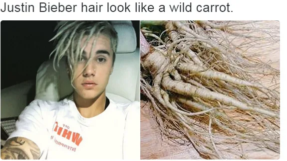 bieber-mallia-karoto-1