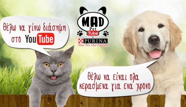 Έφτασε η στιγμή που το κατοικίδιο σου θα κατακτήσει τις καρδιές μας!