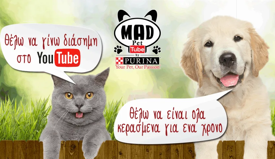 Μια γκρίζα γάτα και ένας σκύλος Golden Retriever με συννεφάκια λόγου και το λογότυπο Mad Pet Tube by Purina.