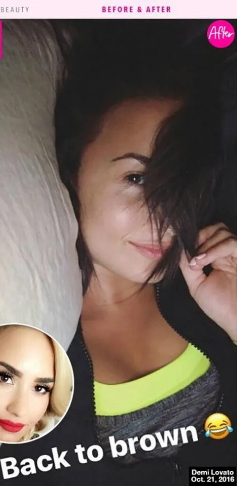 snap lovato