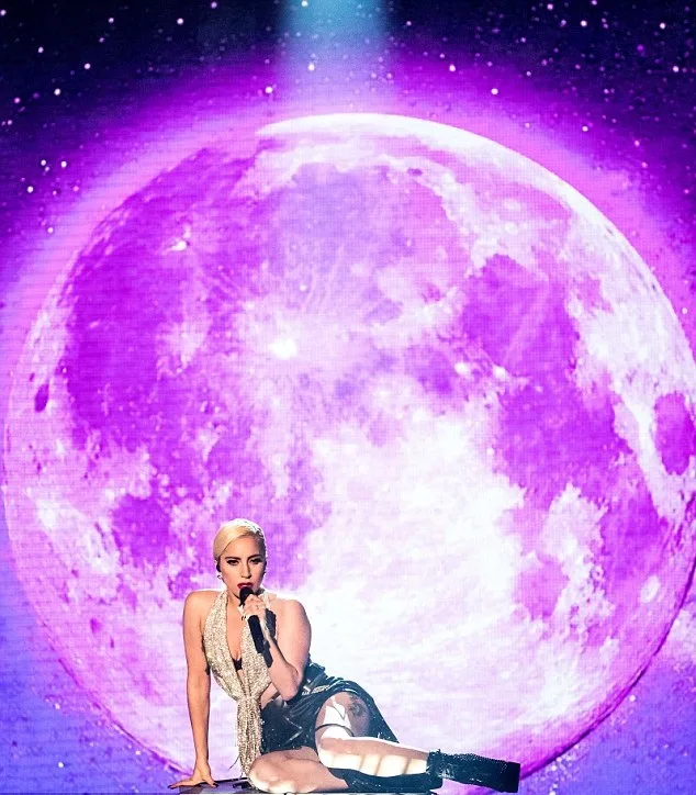 lady gaga6
