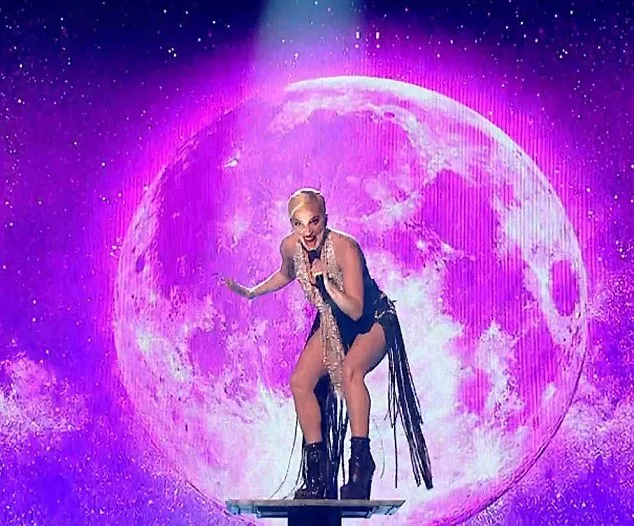 lady gaga7