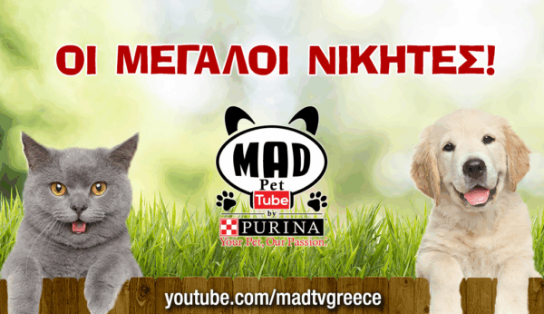 Oι μεγάλοι νικητές του PetTube! Δες τους 10 καλύτερους!