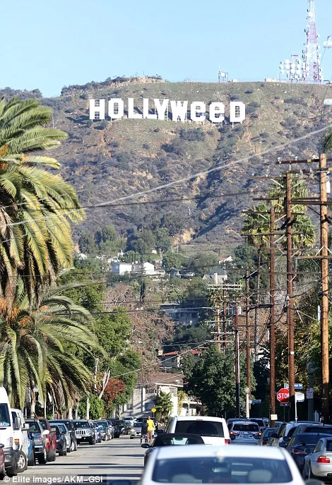 hal2