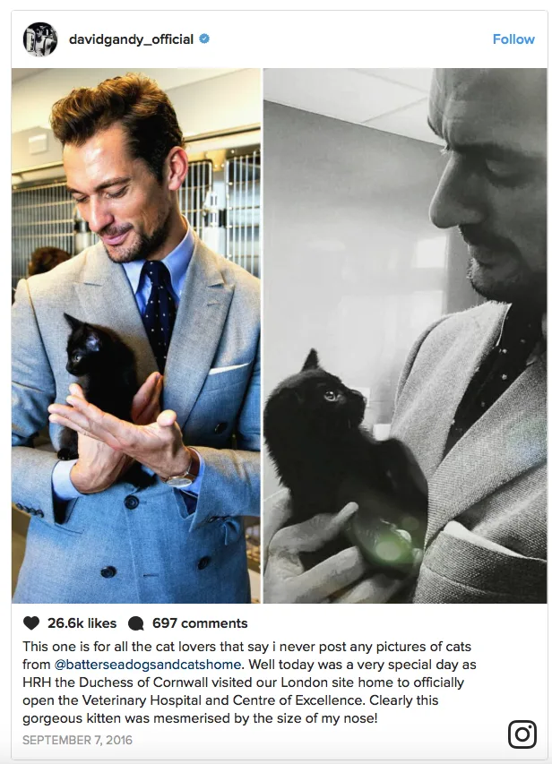 Ο David Gandy κρατάει ένα μαύρο γατάκι.