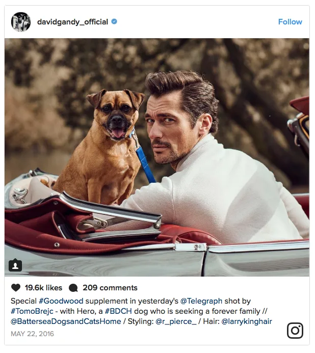 Ο David Gandy σε αυτοκίνητο με έναν σκύλο.