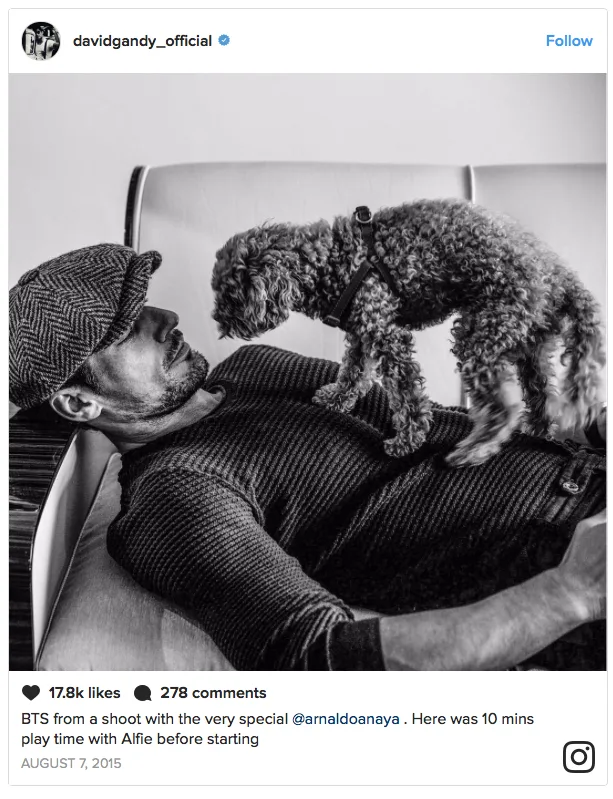 Ο David Gandy ξαπλωμένος με έναν σκύλο πάνω του.