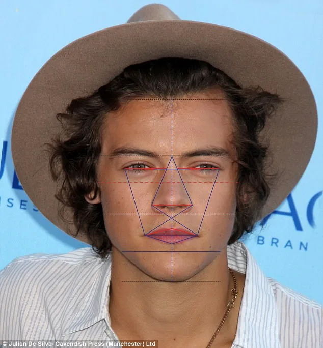 Πορτρέτο του Harry Styles με γραφικές μετρήσεις προσώπου.