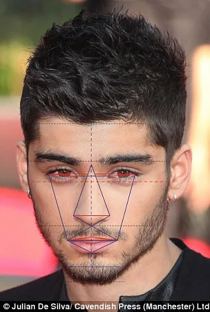 Κοντινό πλάνο του Zayn Malik με γεωμετρικές γραμμές ανάλυσης προσώπου.