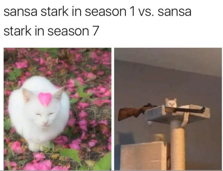 Meme που συγκρίνει τη Sansa Stark με δύο γάτες.