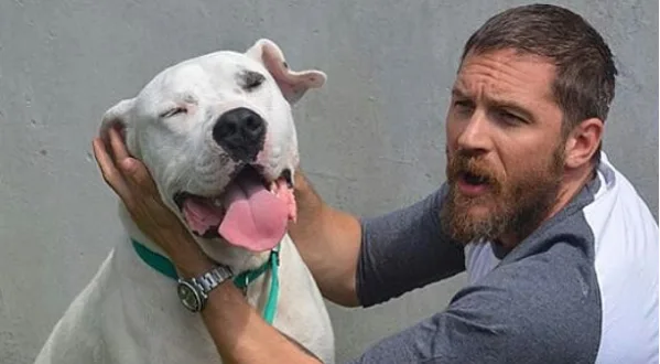 Ο Tom Hardy κρατάει το κεφάλι ενός λευκού σκύλου.