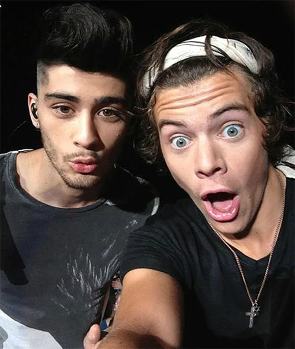 Ο Zayn Malik και ο Harry Styles σε selfie