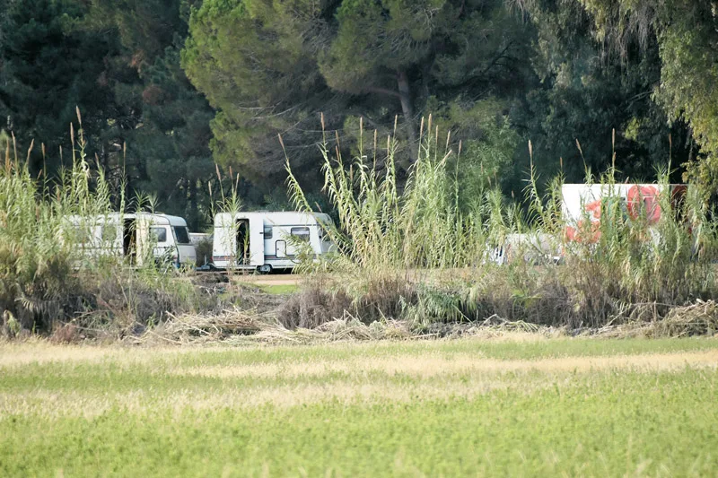 Τροχόσπιτα σε υπαίθριο χώρο με ψηλά καλάμια και δέντρα.