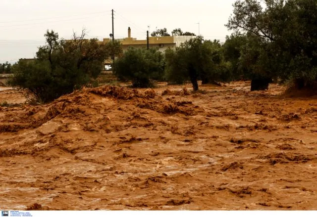 Πλημμυρισμένη περιοχή με λασπώδη νερά και δέντρα στη Μάνδρα.