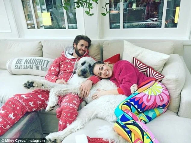 Η Miley Cyrus και ο Liam Hemsworth σε καναπέ με τον σκύλο τους.