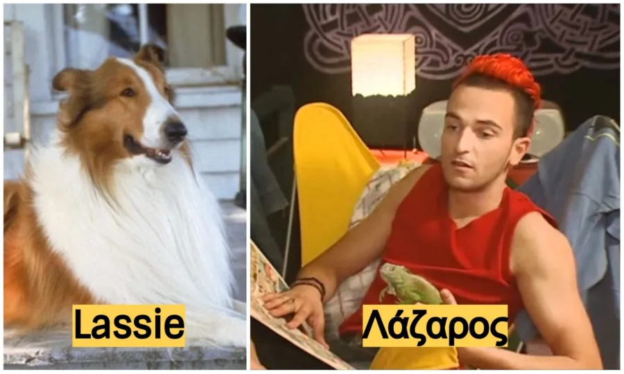 κατοικίδια από σειρές