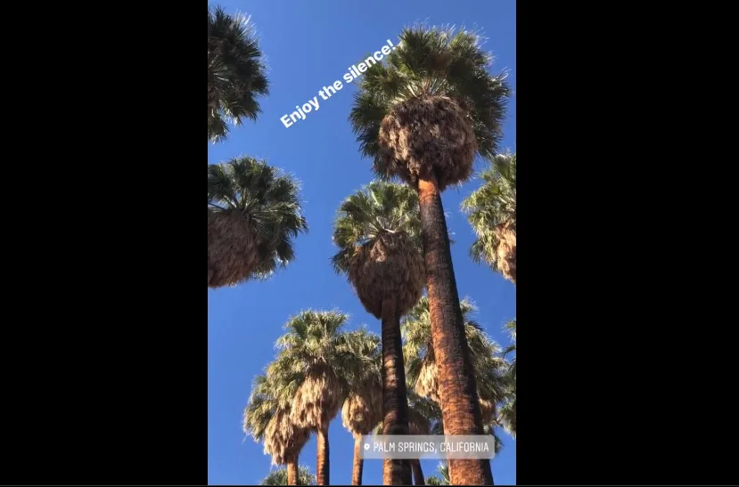 Φοίνικες στο Palm Springs της Καλιφόρνια με τον ουρανό από πάνω, μετά τις φήμες για χωρισμό.
