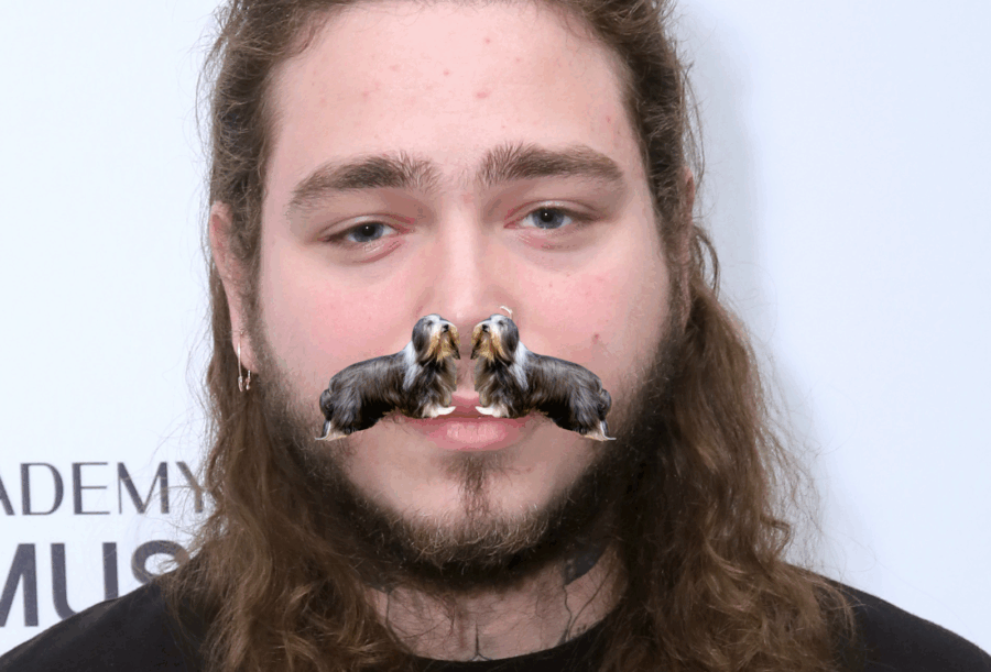 μουστάκι του Post Malone