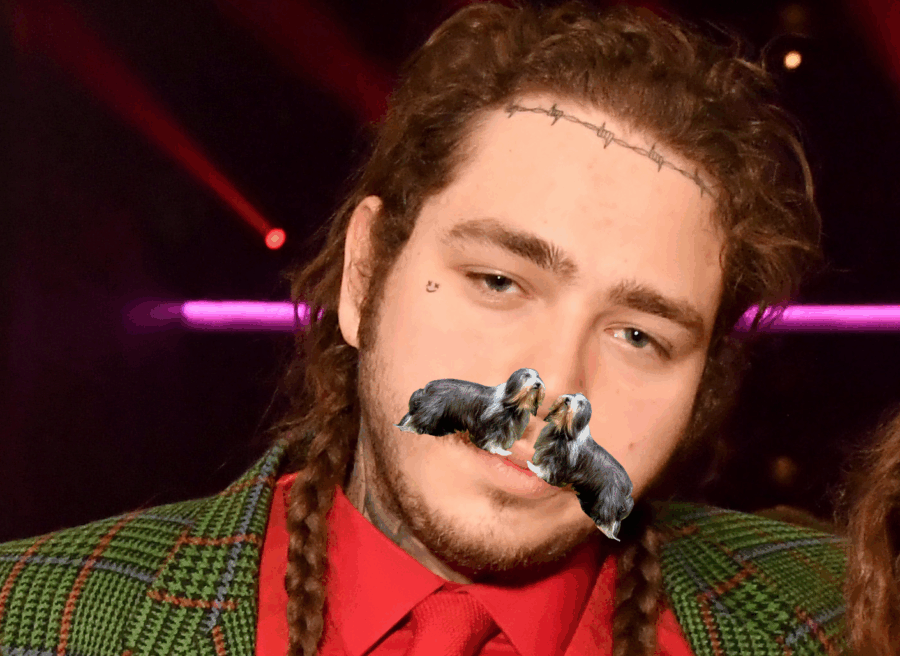 μουστάκι του Post Malone