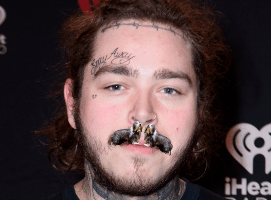 μουστάκι του Post Malone