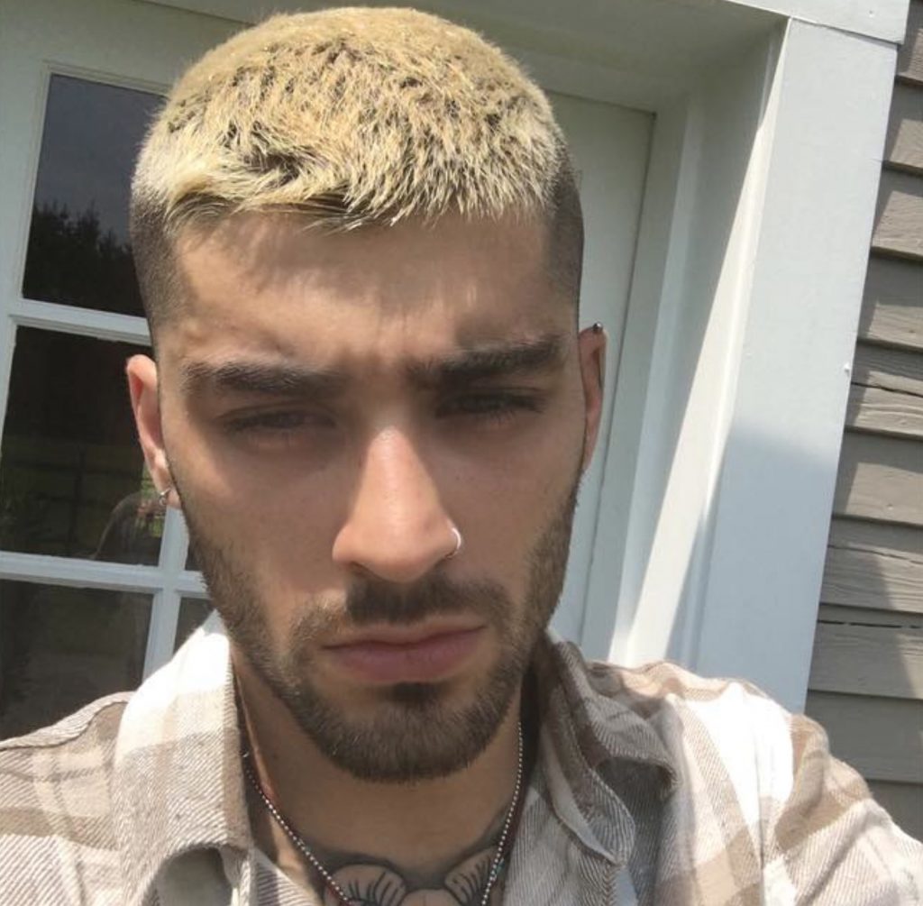 μοντέλο που μοιάζει απίστευτα με τον Zayn