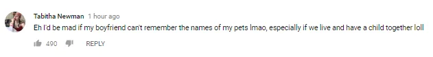 Στιγμιότυπο οθόνης από σχόλιο χρήστη στο YouTube.