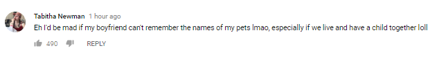 Στιγμιότυπο οθόνης από σχόλιο χρήστη στο YouTube.