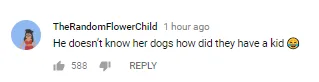 Στιγμιότυπο από σχόλιο χρήστη στο YouTube.