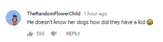 Στιγμιότυπο από σχόλιο χρήστη στο YouTube.