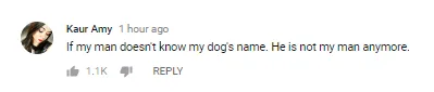 Στιγμιότυπο σχολίου στο YouTube από την χρήστη Kaur Amy.